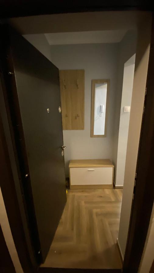 Dacia Apartment Timisoara Exterior foto